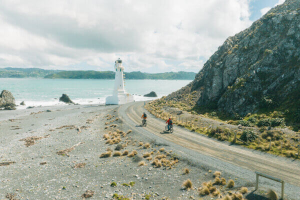 Full Day Exploring Wellington's Rugged Pencarrow Coast on E-Bike